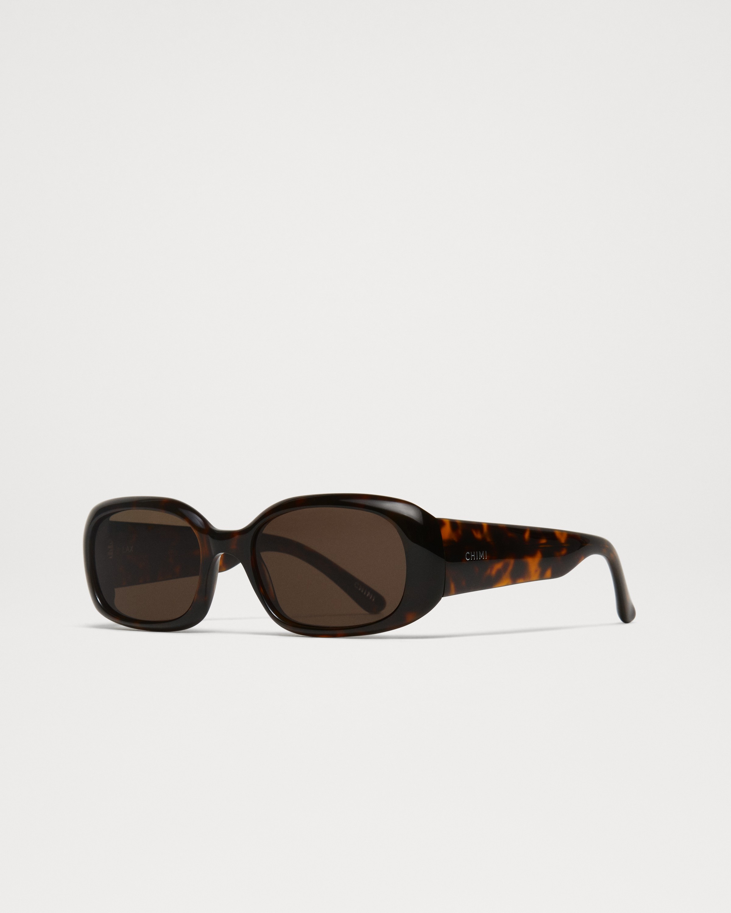 LAX Tortoise 4