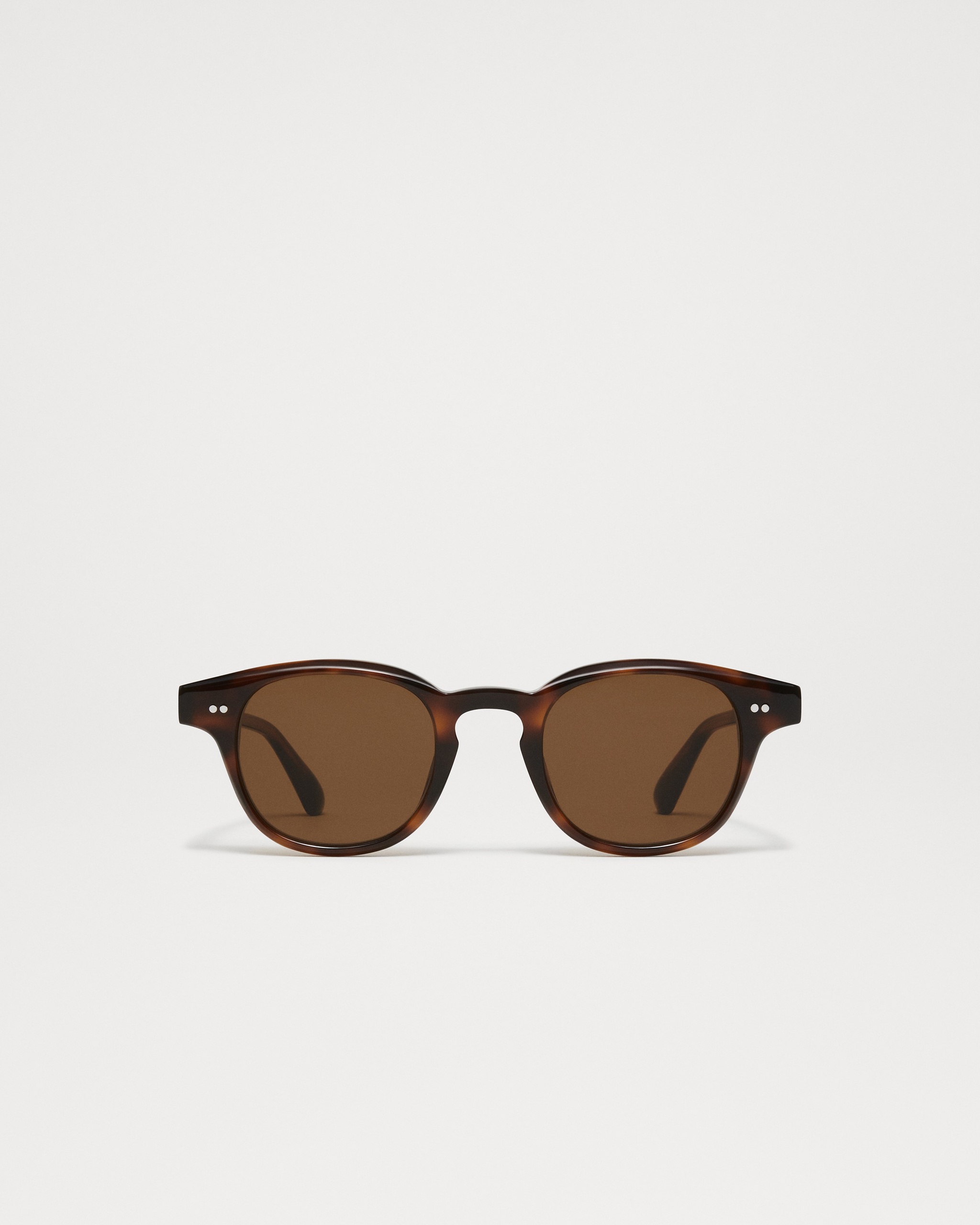 01 Tortoise
