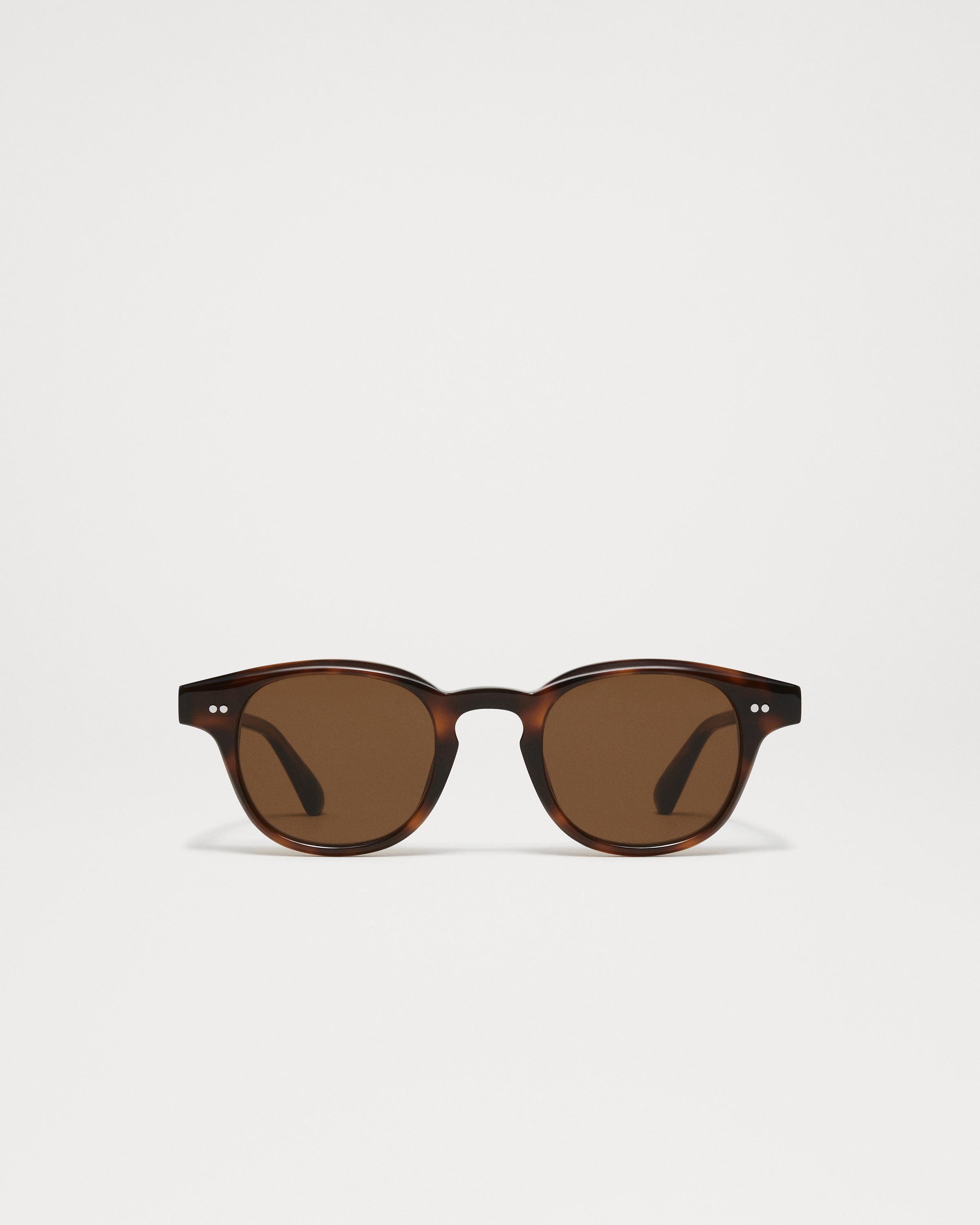 01 Tortoise 3