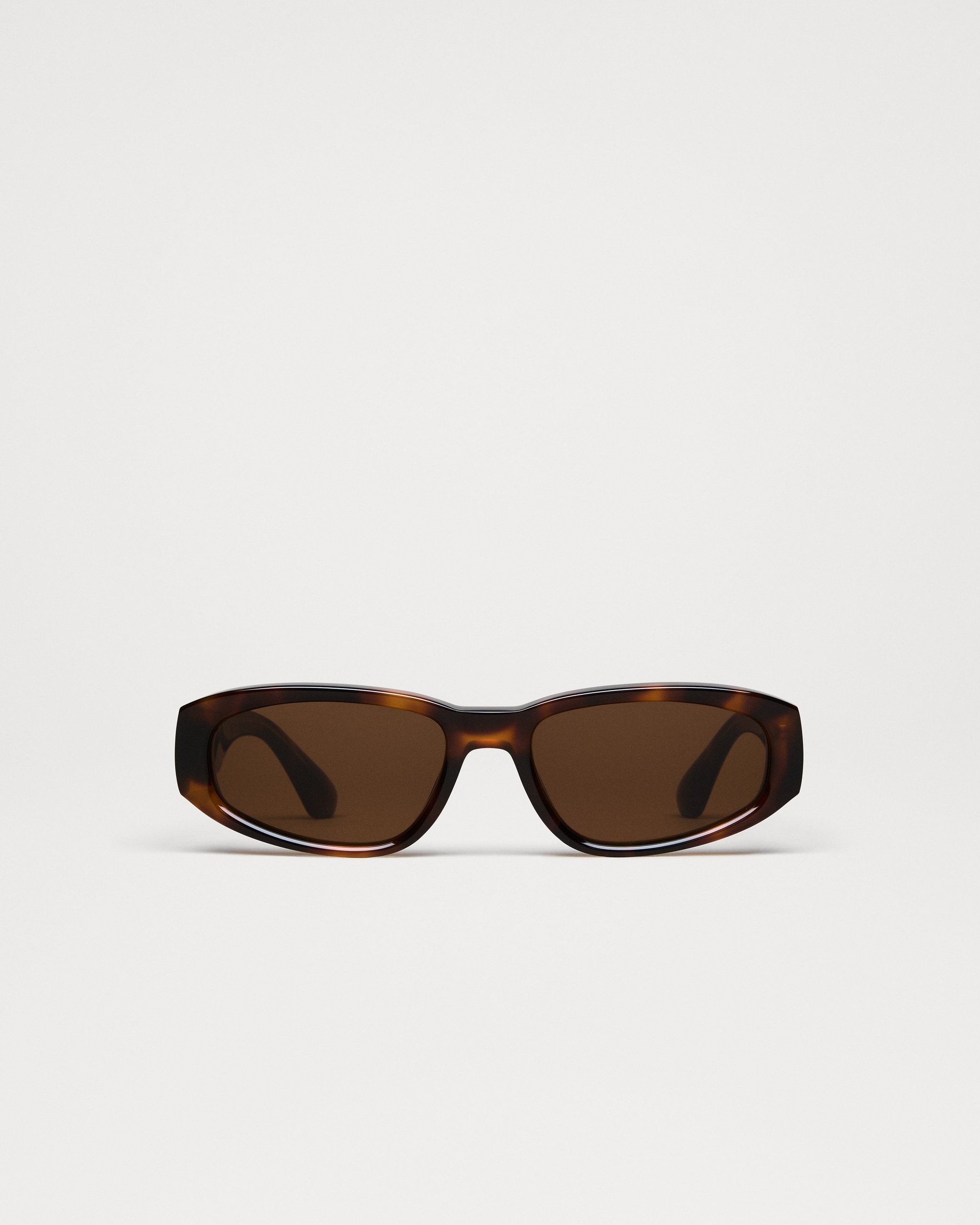 09 Tortoise