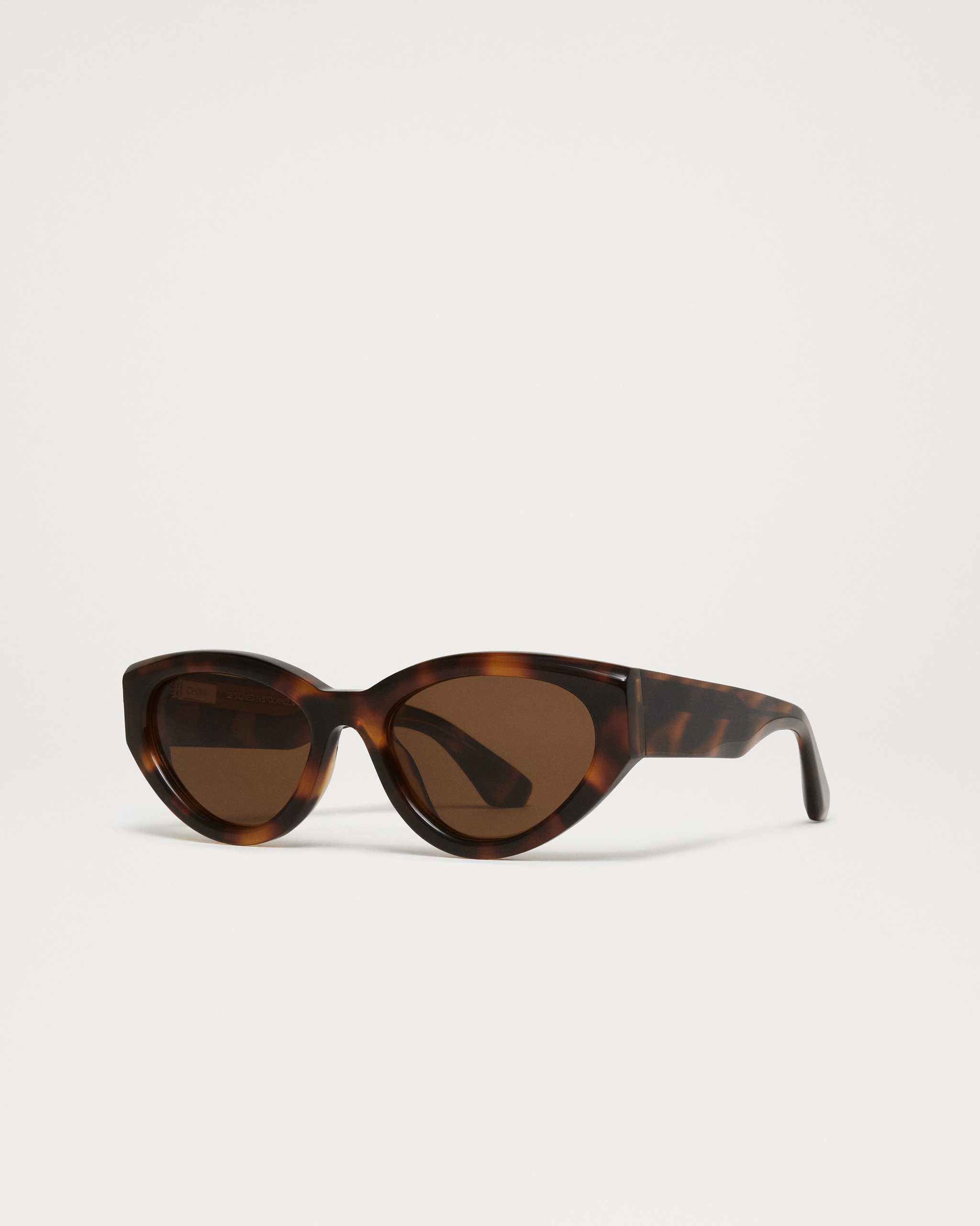 06 Tortoise