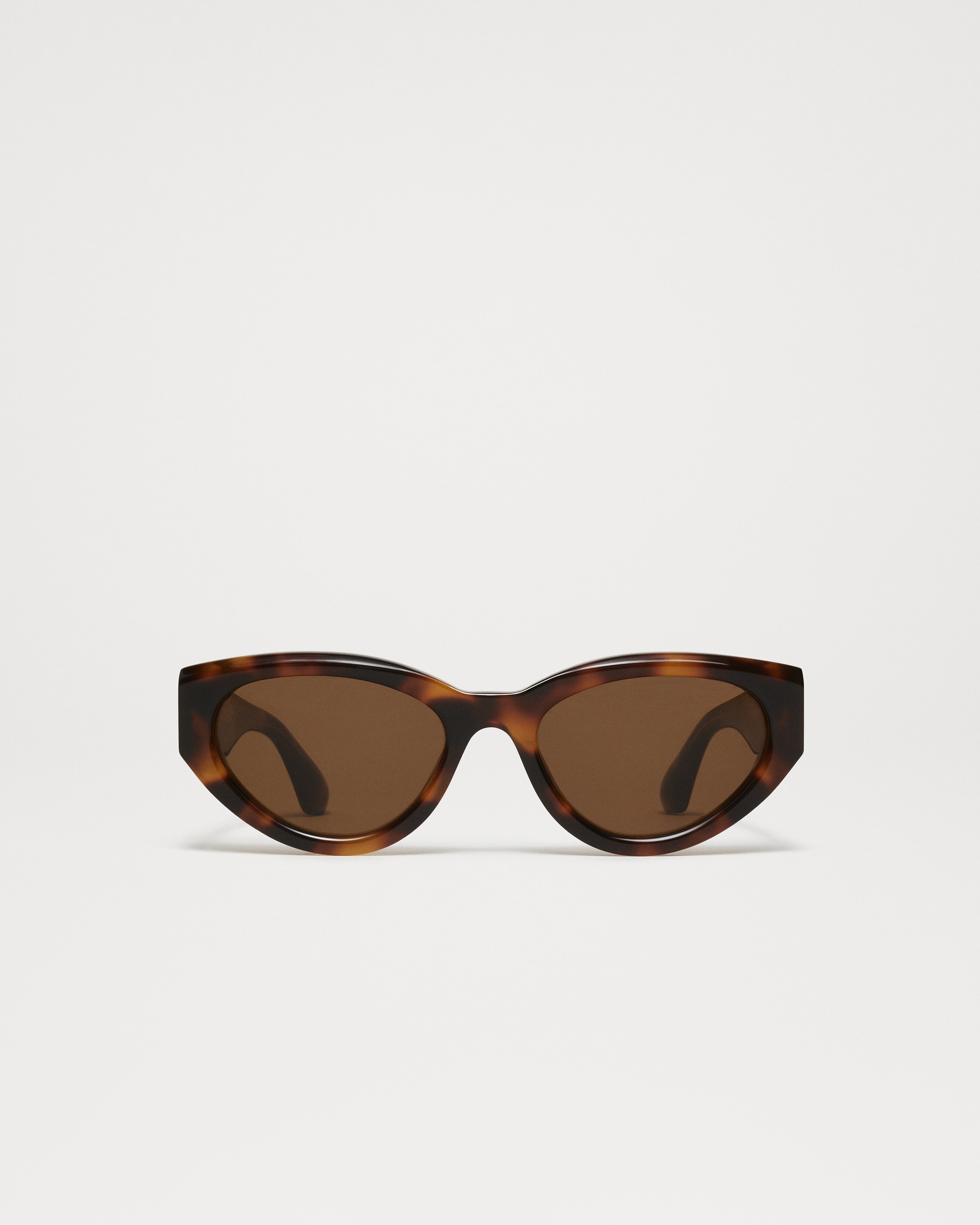 06 Tortoise