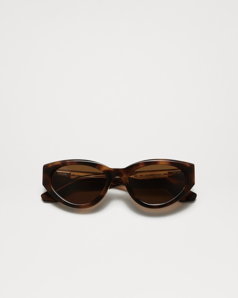 06 Tortoise