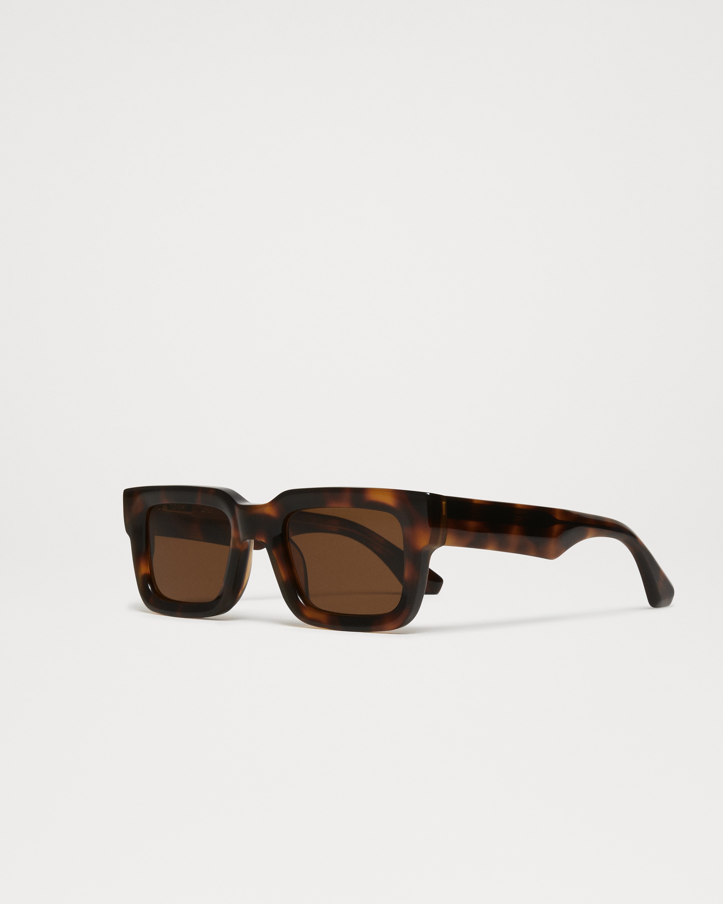 05 Tortoise 4
