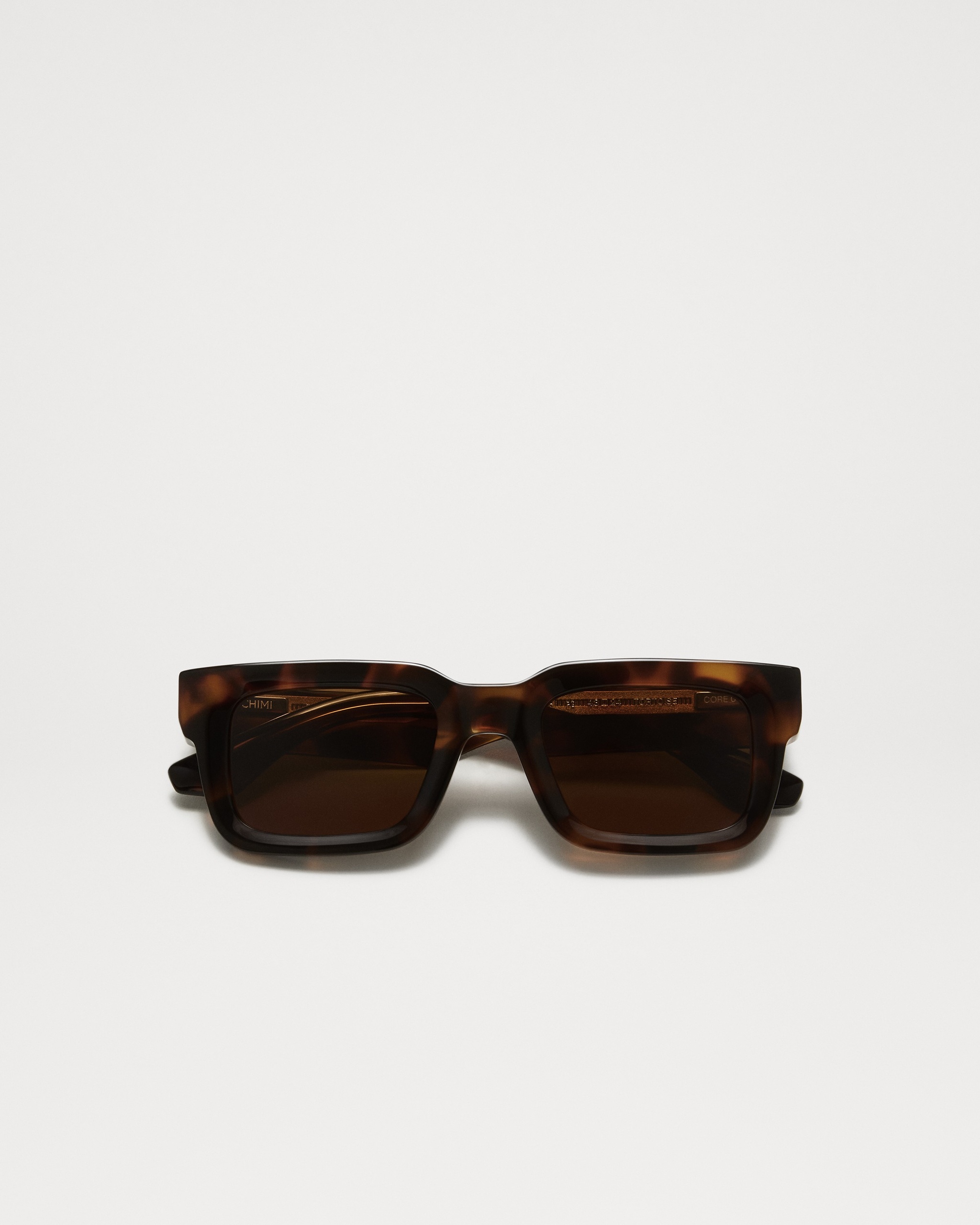 05 Tortoise