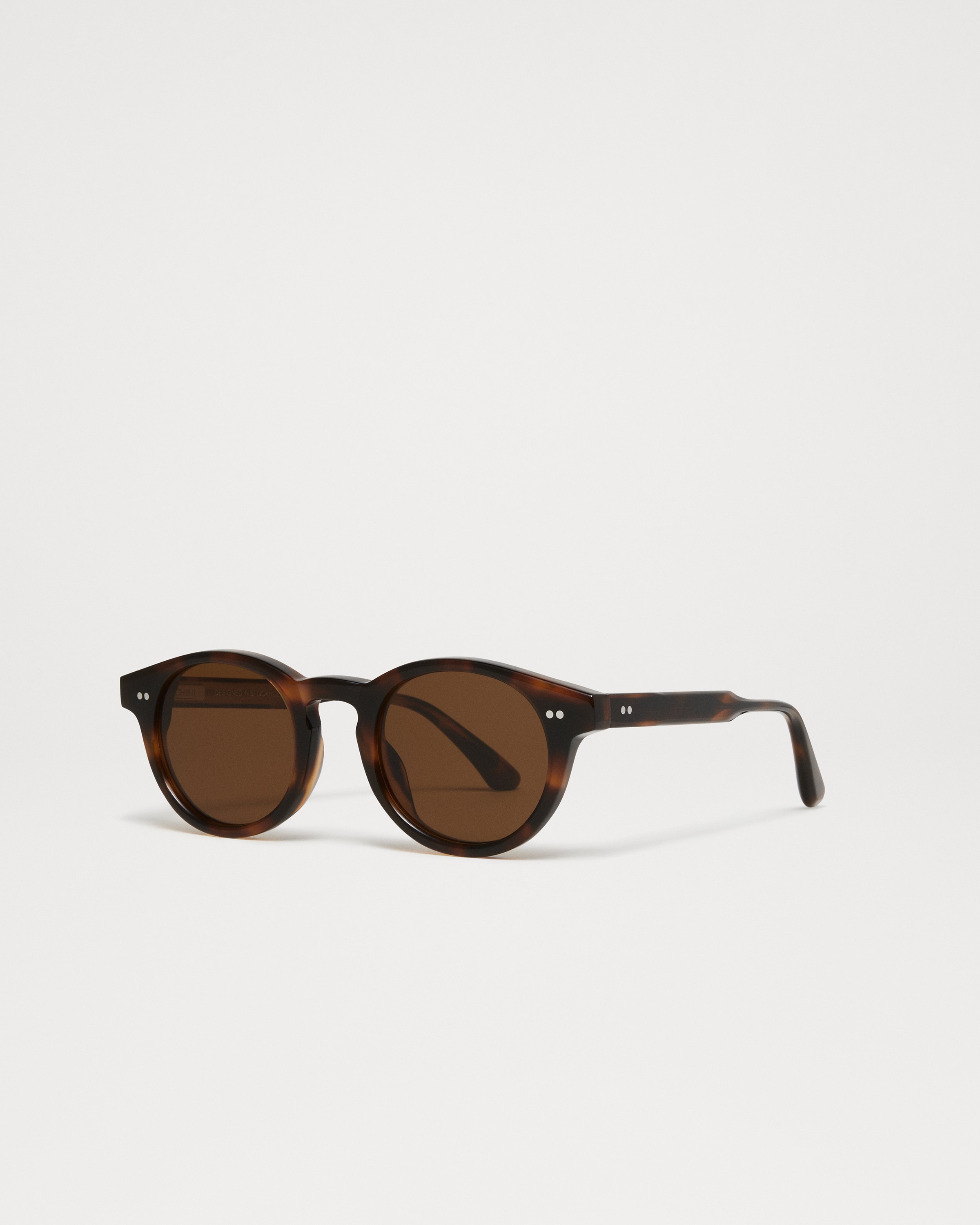 03 Tortoise 4