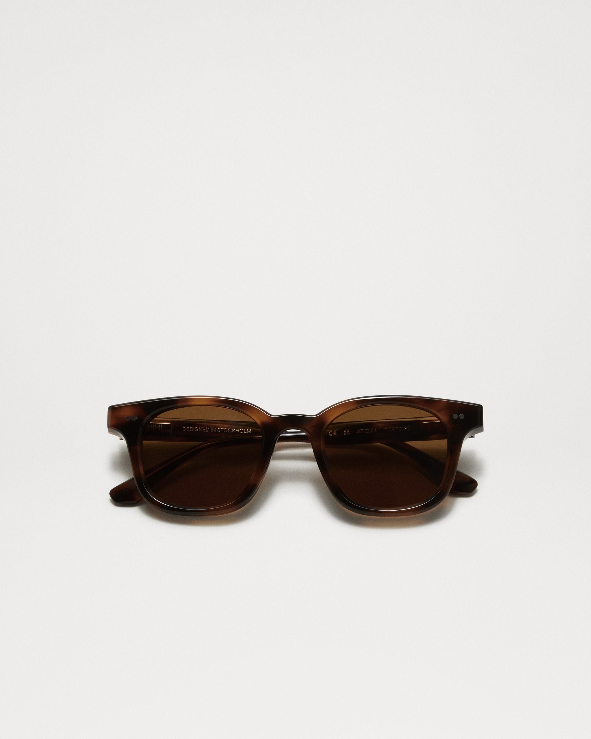 02 Tortoise