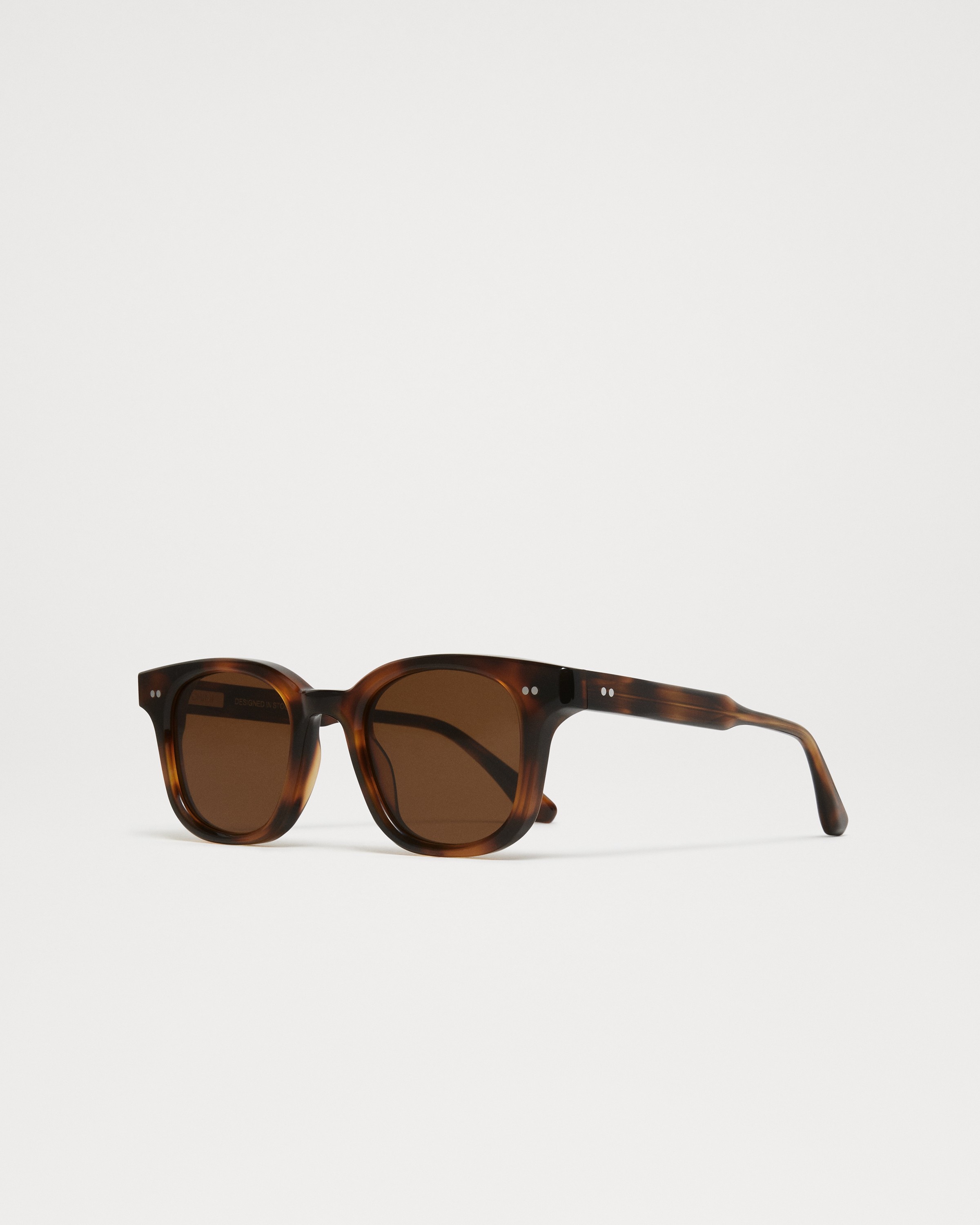 02 Tortoise 4