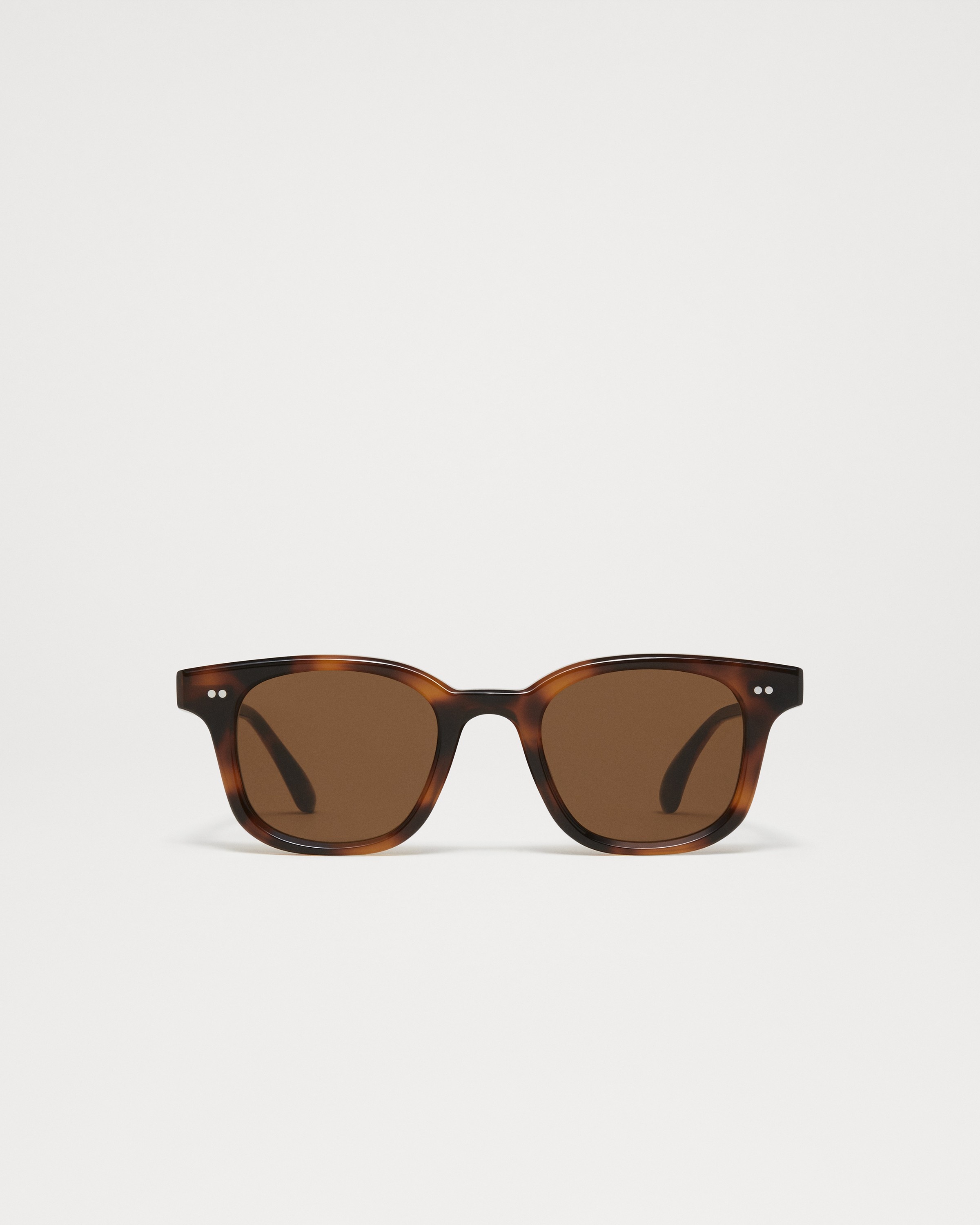 02 Tortoise 3