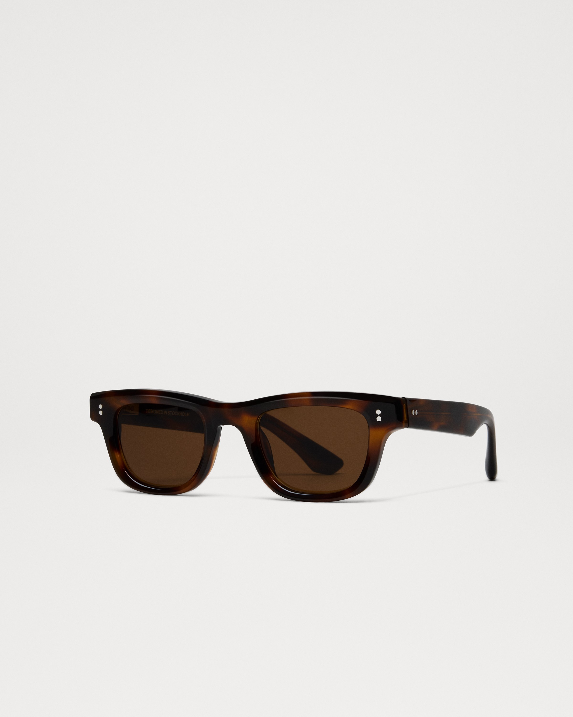 08 Tortoise 5