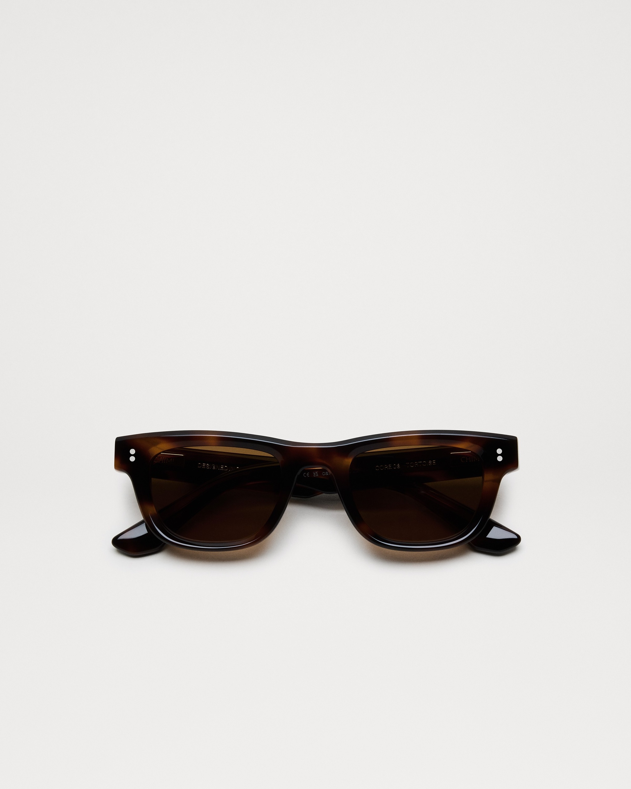08 Tortoise