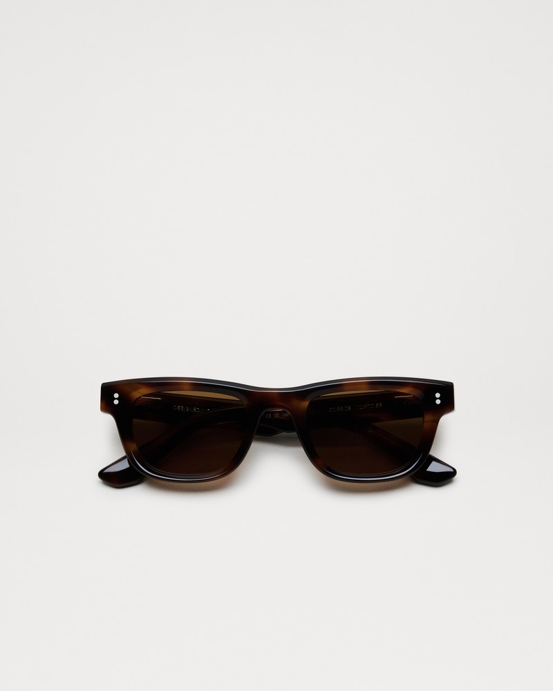 08 Tortoise