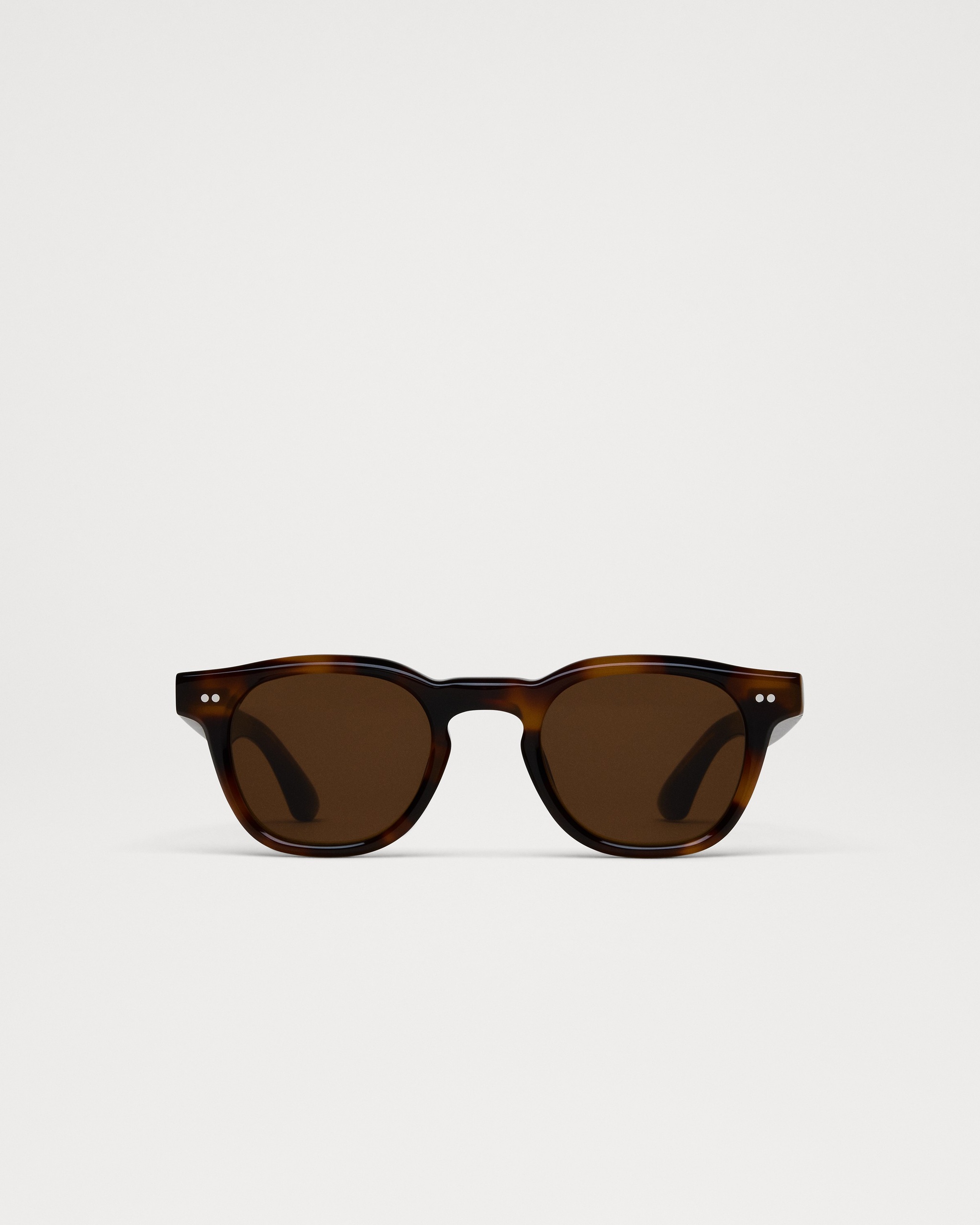 01 Tortoise