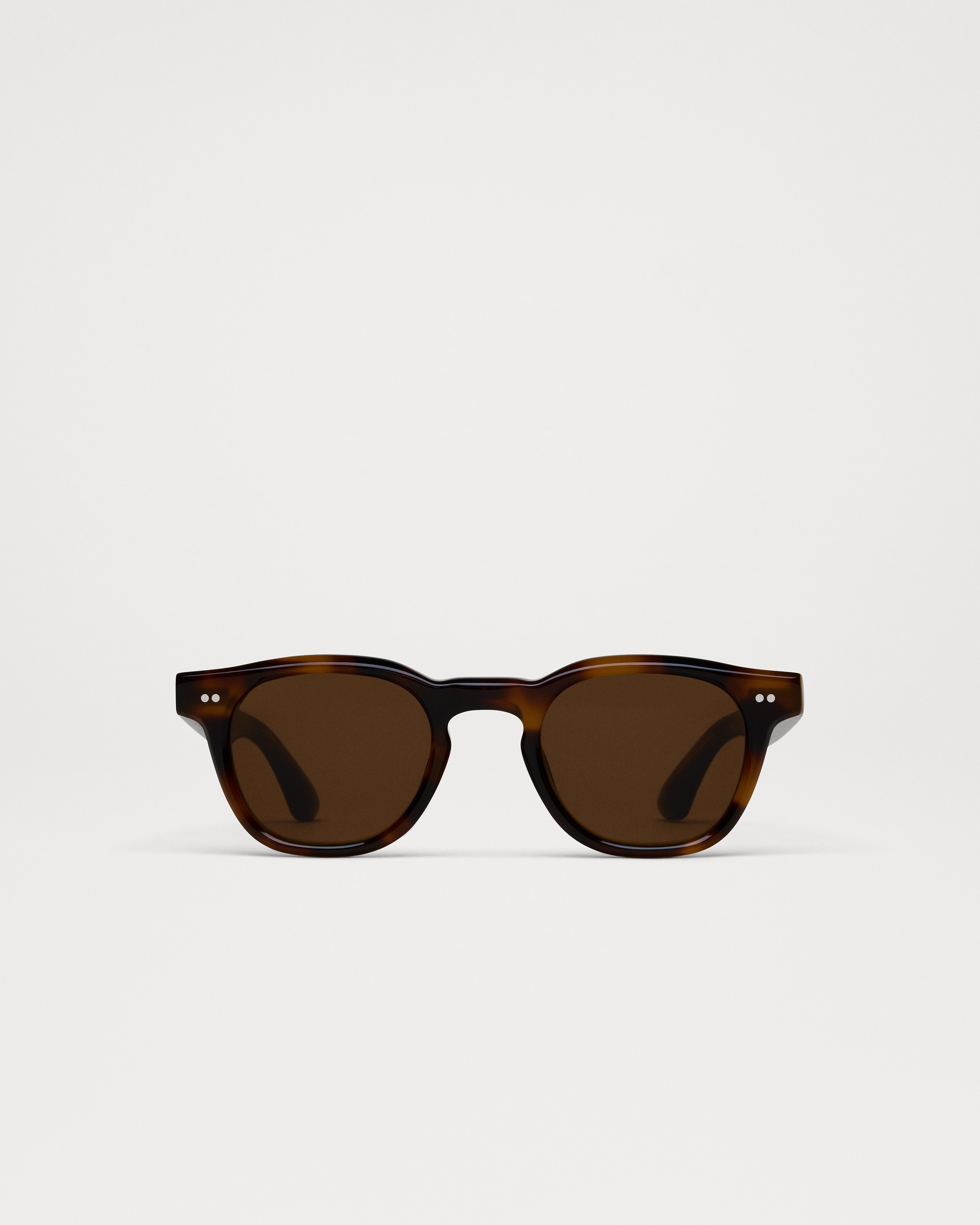 01 Tortoise 4