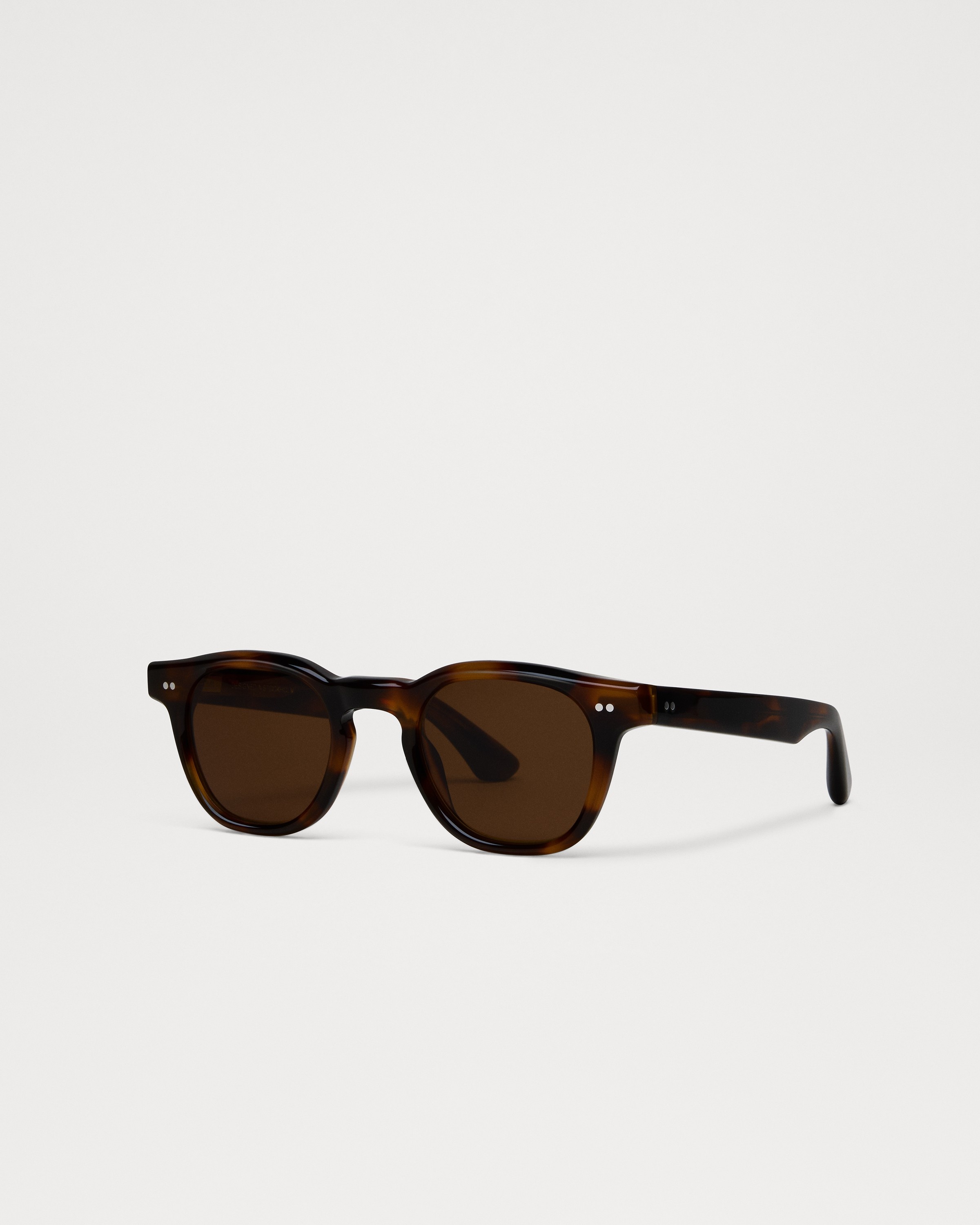 01 Tortoise 5