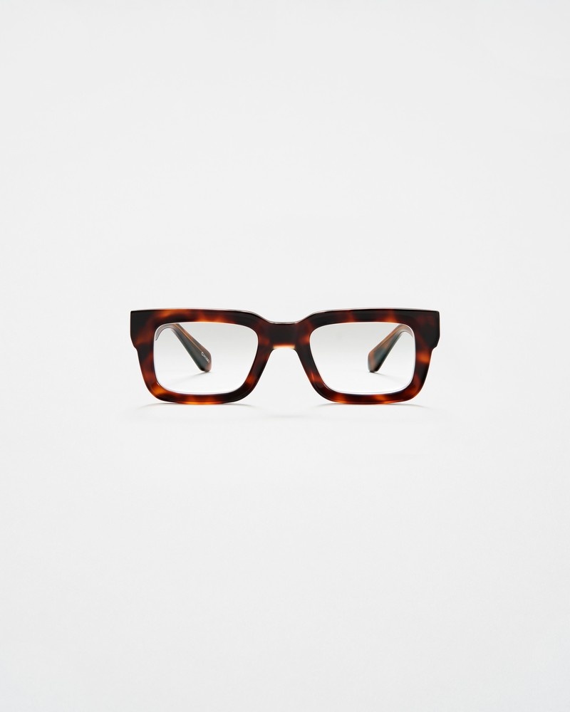 05 Optic Tortoise